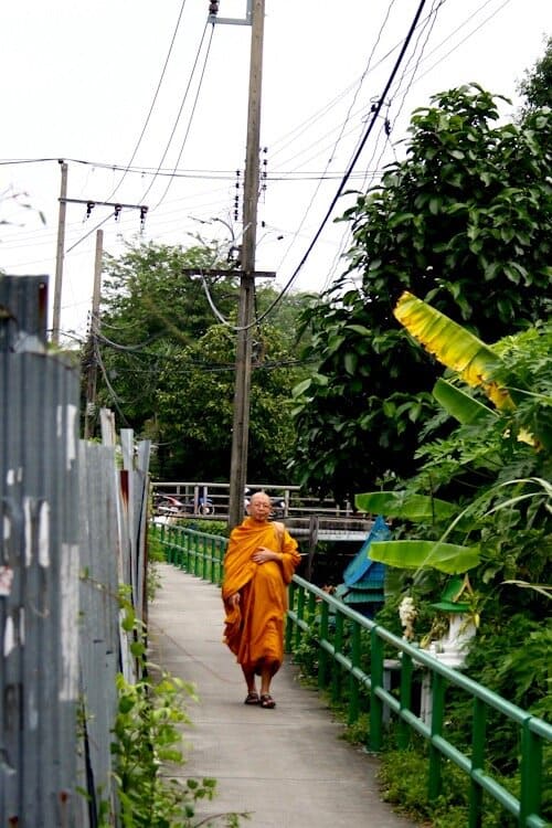 Thai monk walking down narrow paved path in Thailand wearing saffron colored robes