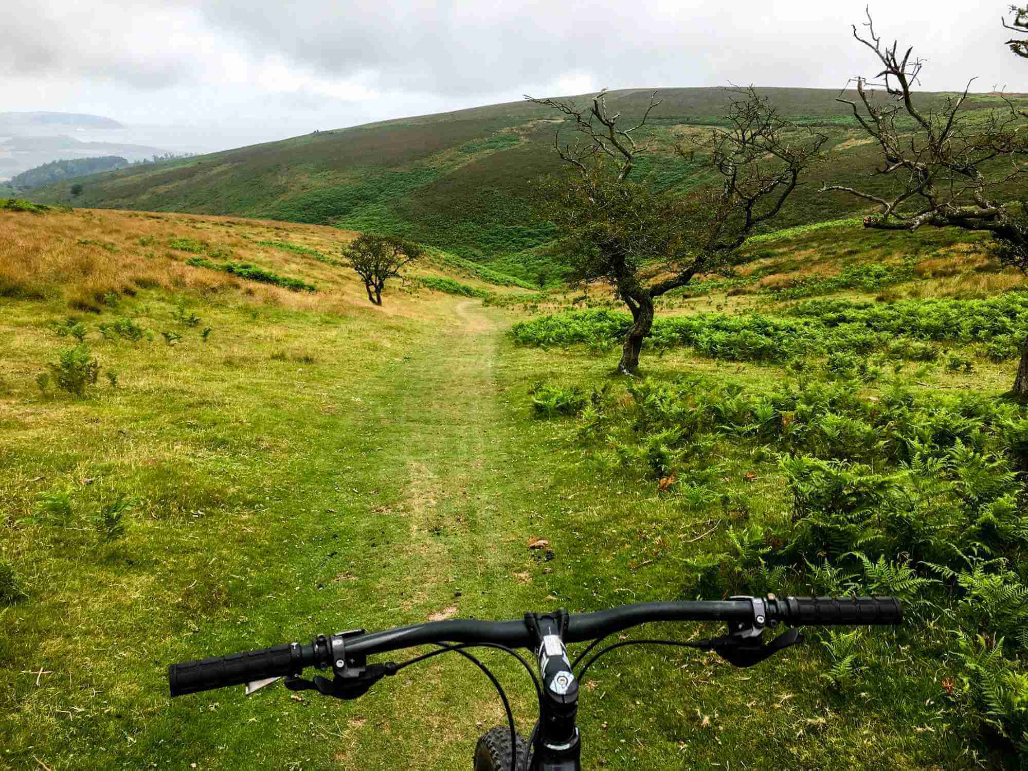 Photo over mountain bike handlebars looking out over grassy singletrack trail in southwest England