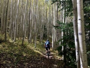 Mountain Biking the South Boundary Trail in New Mexico