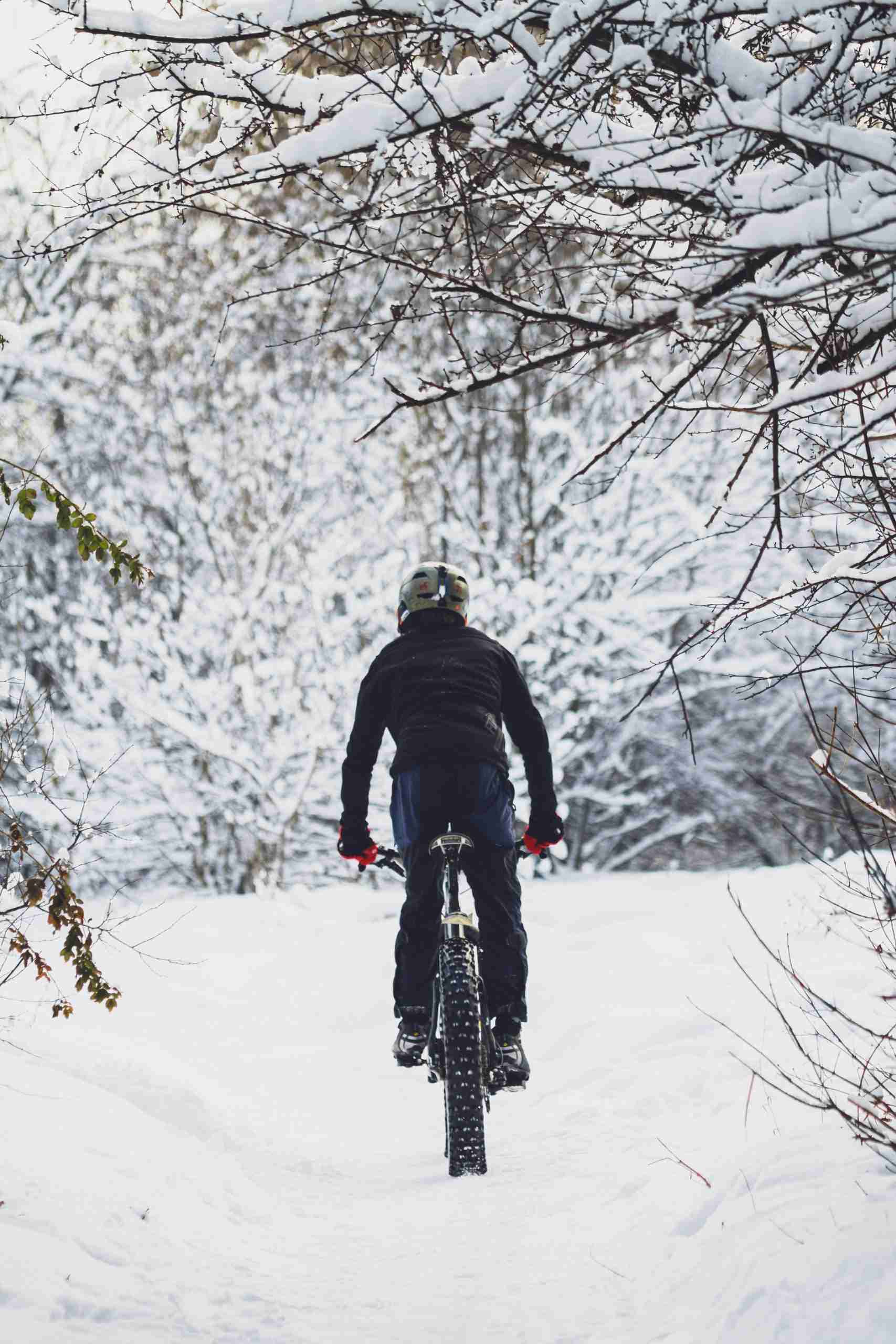 What Is Winter Fat Biking All About and Where Can You Do It?