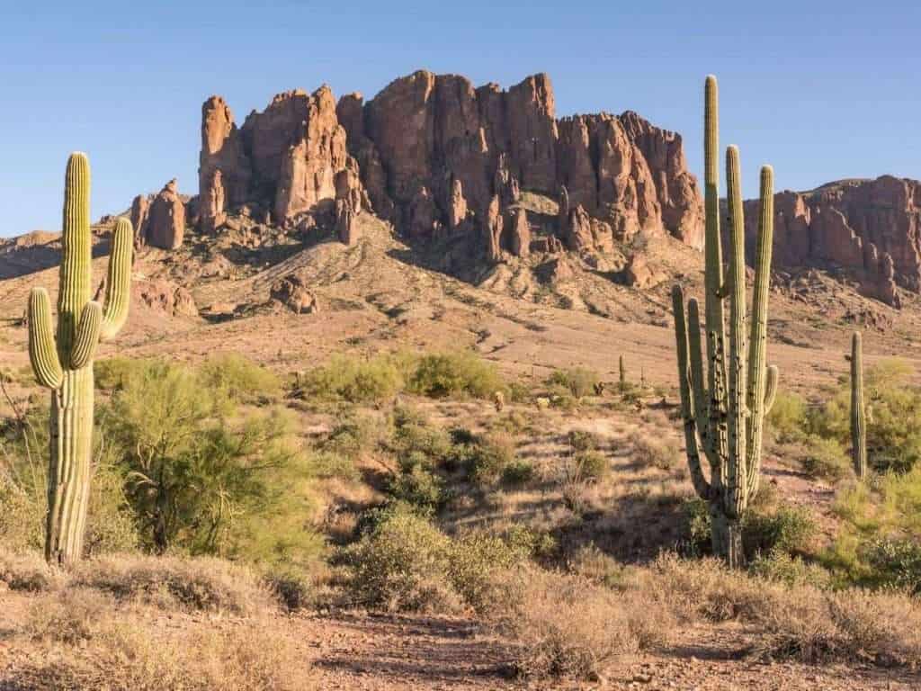 Learn where to find the best Phoenix mountain bike rentals so that you can hit the trails for some fun desert singletrack riding.