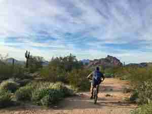 A Beginner’s Guide to Mountain Biking Phoenix, Arizona