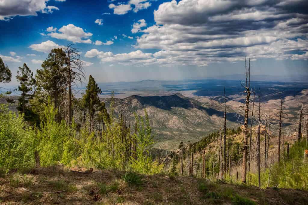 Scenic landscape views from summit of Mt. Lemmon in Tucson Arizona