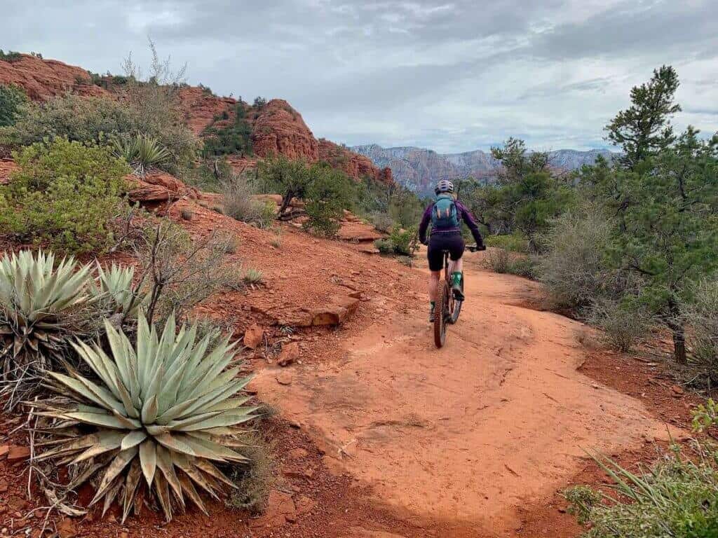 Mountain biker riding away from camera on red dirt trail in Sedona, Arizona with cacti lining trail and snow-dusted mountains in background