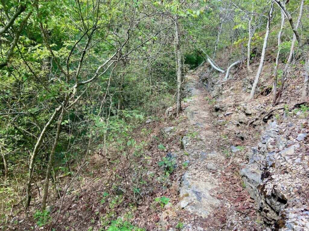 Narrow ledgy section of mountain bike trail through the woods in Arkansas