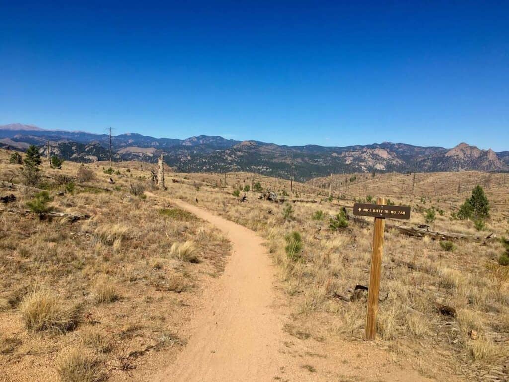 Singletrack trail with Colorado mountains in distance and trail sign saying "Nice Kitty TR no. 768"