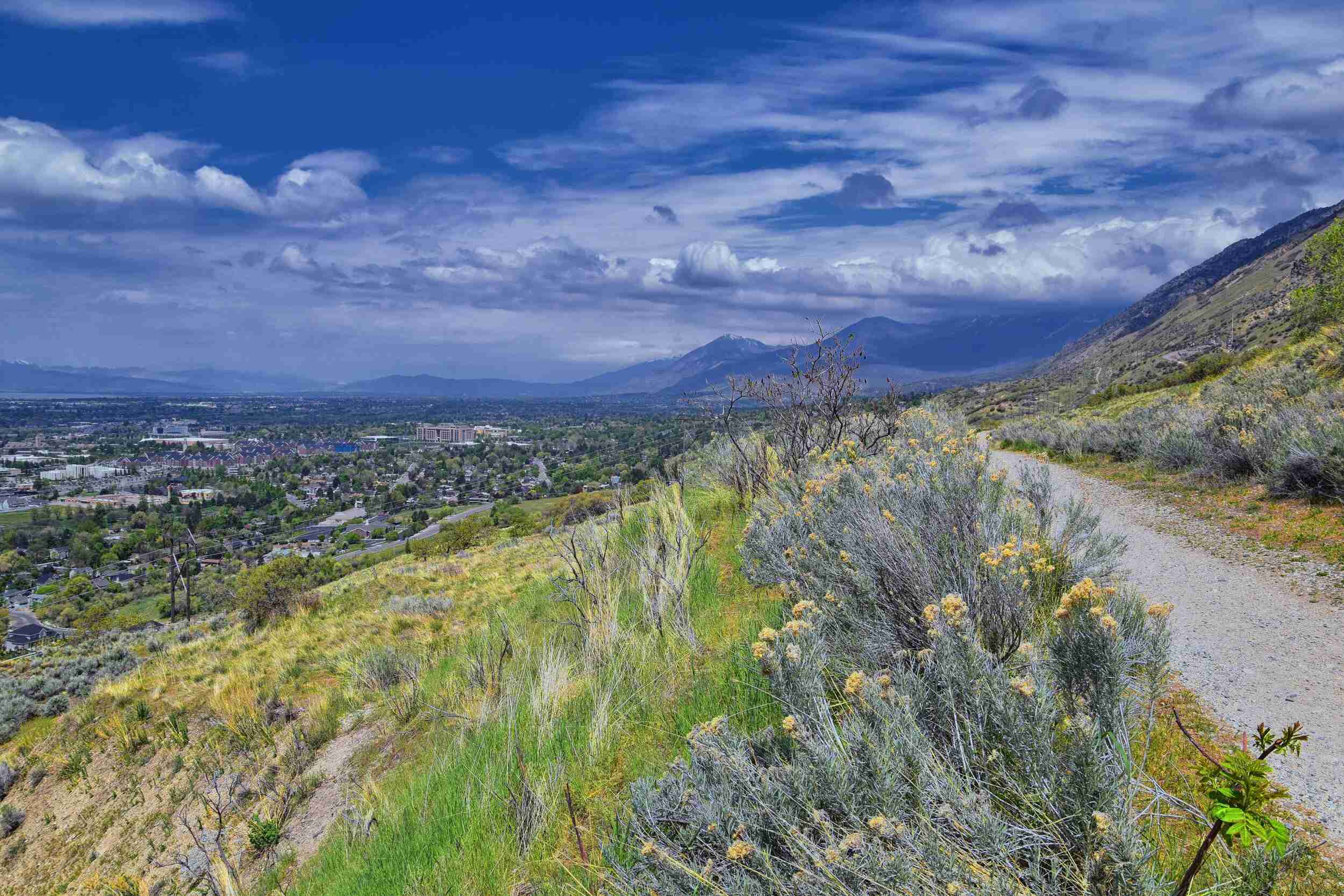 Salt Lake City Mountain Biking: 4 Best Trails In the Salt Lake Foothills