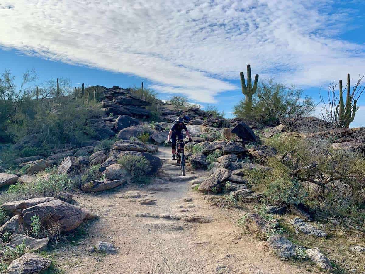 Mountain biker riding down rocky desert trail in Arizona with cacti and shrubs lining trail