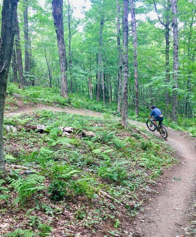 Learn about the best beginner mountain bikes and find the perfect starter bike for your mountain biking adventures!