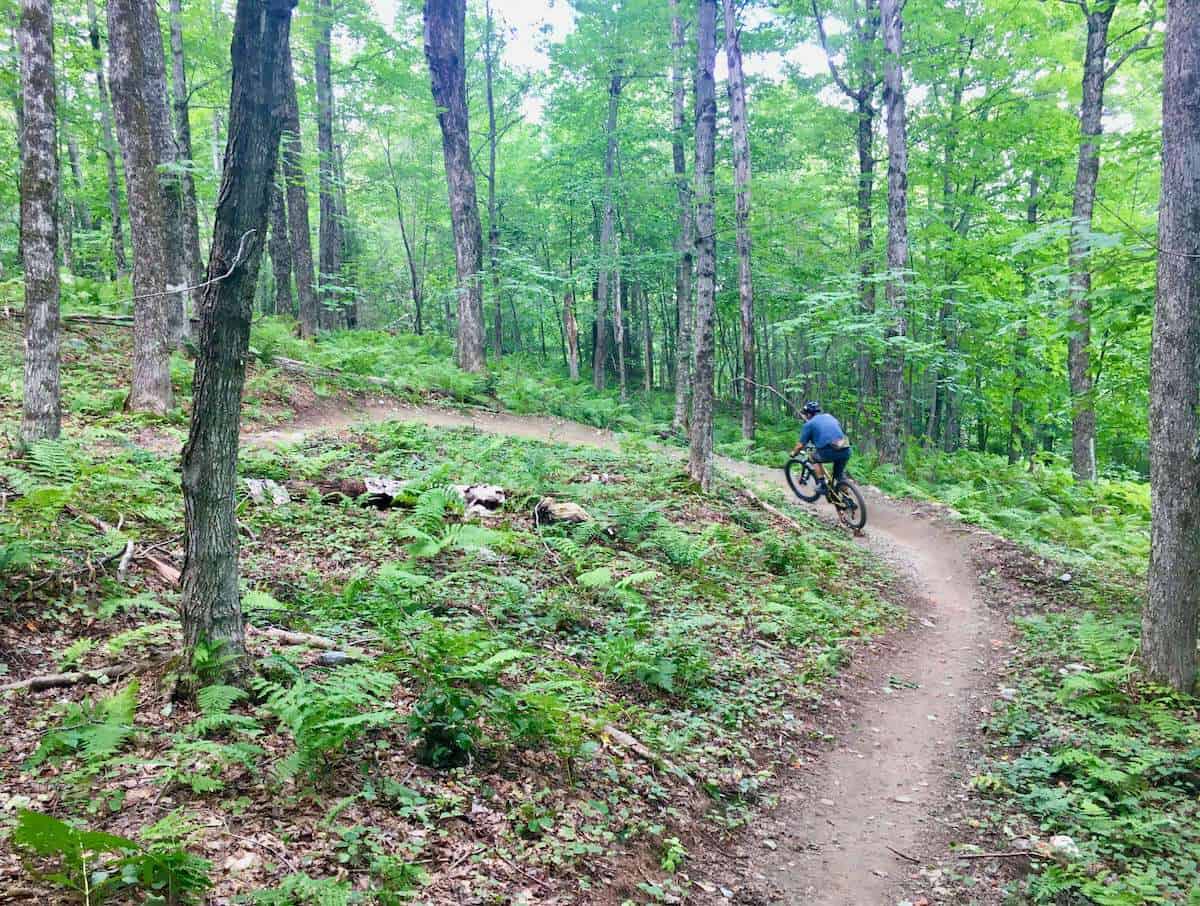 Learn about the best beginner mountain bikes and find the perfect starter bike for your mountain biking adventures!