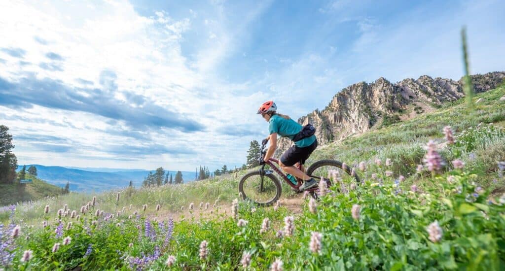 Mountain biker on wildflower lined trail at Snowbasin bike park in Utah