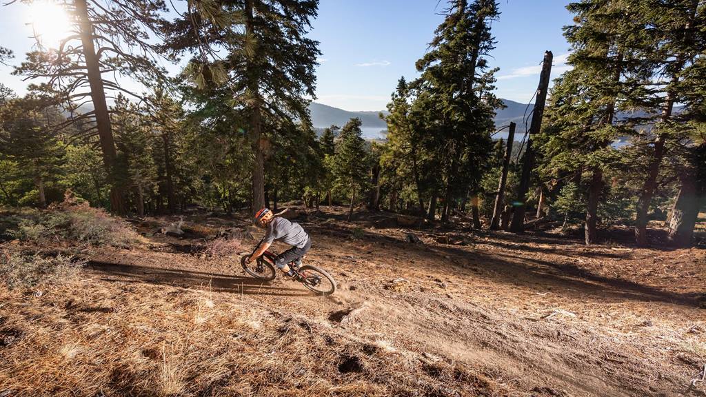 Mountain biker on trail at Snow Valley Bike Park in California