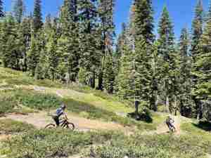 Mountain Biking The Downieville Downhill: What to Know & Expect