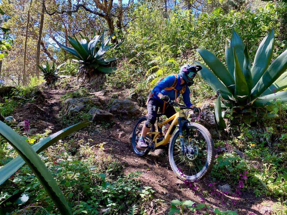 Becky riding mountain bike down rocky trail in Oaxaca with giant agave plants lining the trail