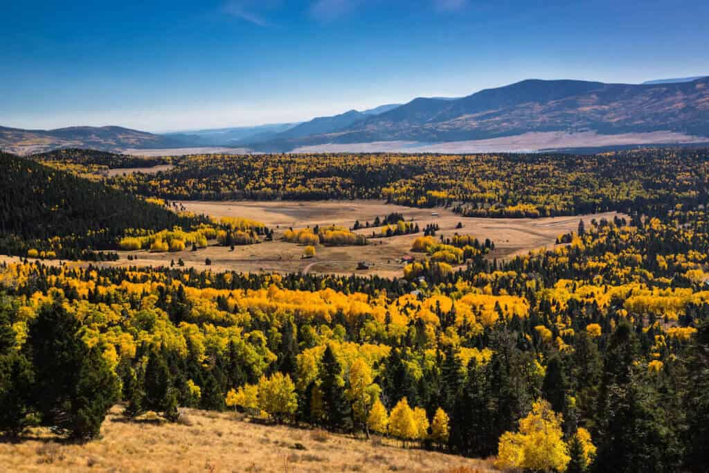 Landscape photo of mountains and forest near Angel Fire New Mexico with golden fall aspen foliage