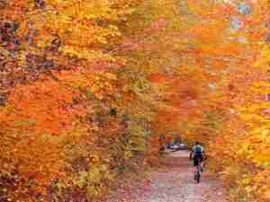 The 7 Best Stand-Alone Bike Trails In Vermont