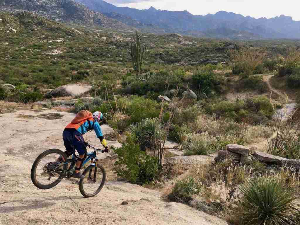 Mountain biker doing a nose wheelie down rock slab on trails in Tucson, Arizona