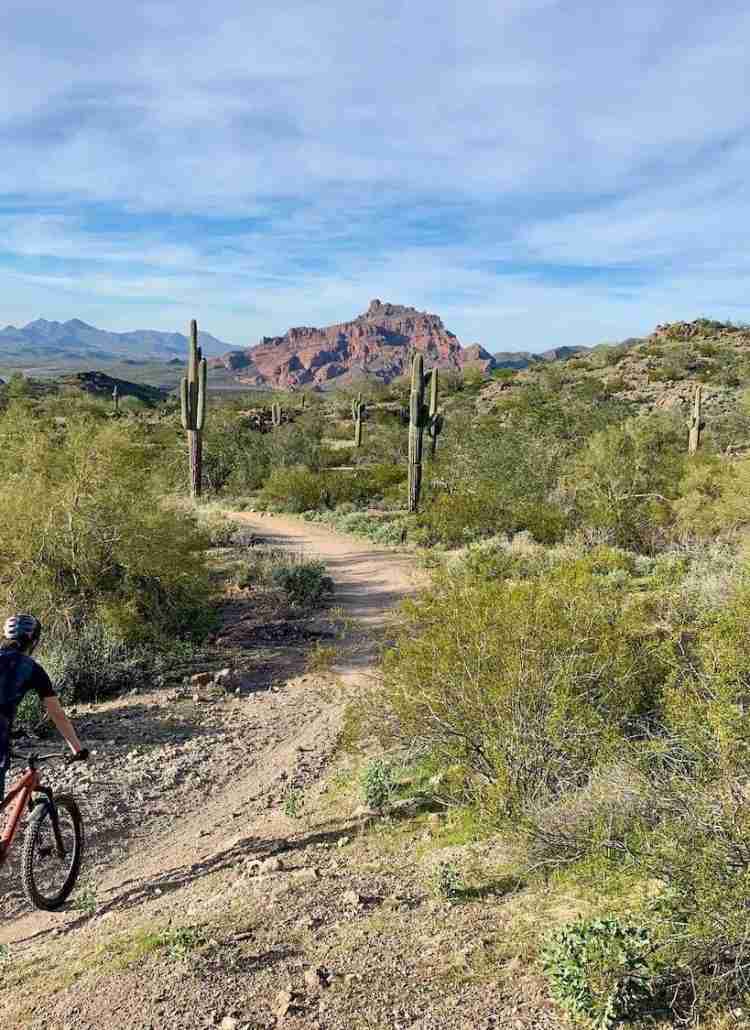 Discover the best Phoenix mountain bike trails to ride around the city from beginner-friendly cross-country singletrack to expert-only routes.