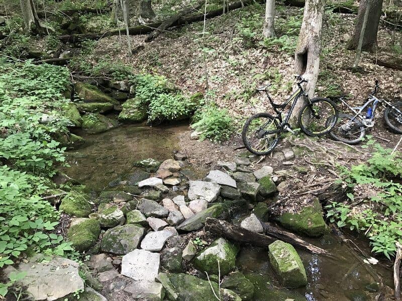 Mountain bikes leaning against tree on one side of small creek with path path of rocks crossing it