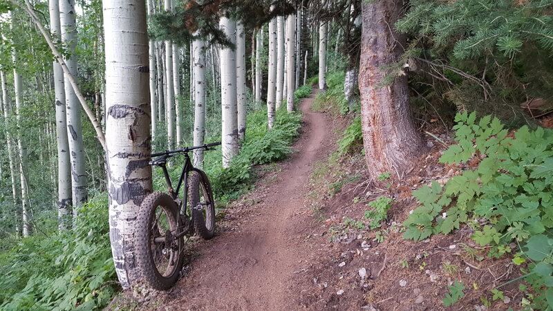 Mountain bike leaning against trail on trail through aspen grove in Utah