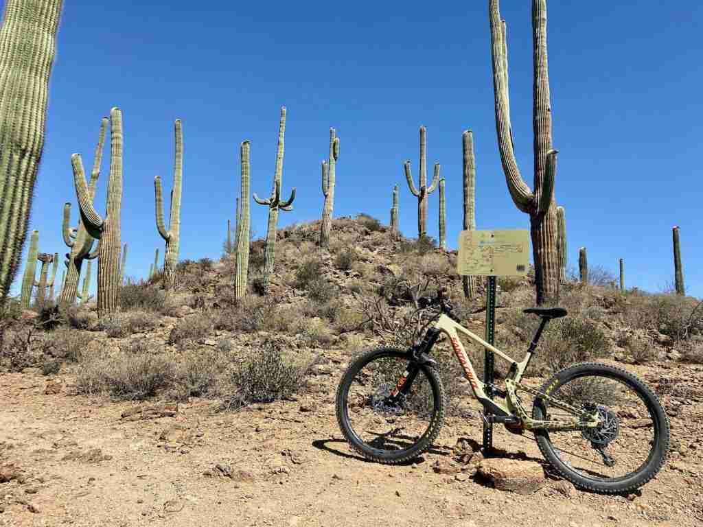 Mountain bike leaning against trail sign surrounded by tall Saguaro cacti in Tucson, Arizona