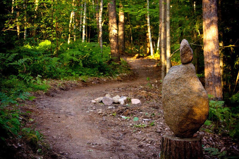 Singletrack mountain bike trail in Wisconsin through the forest