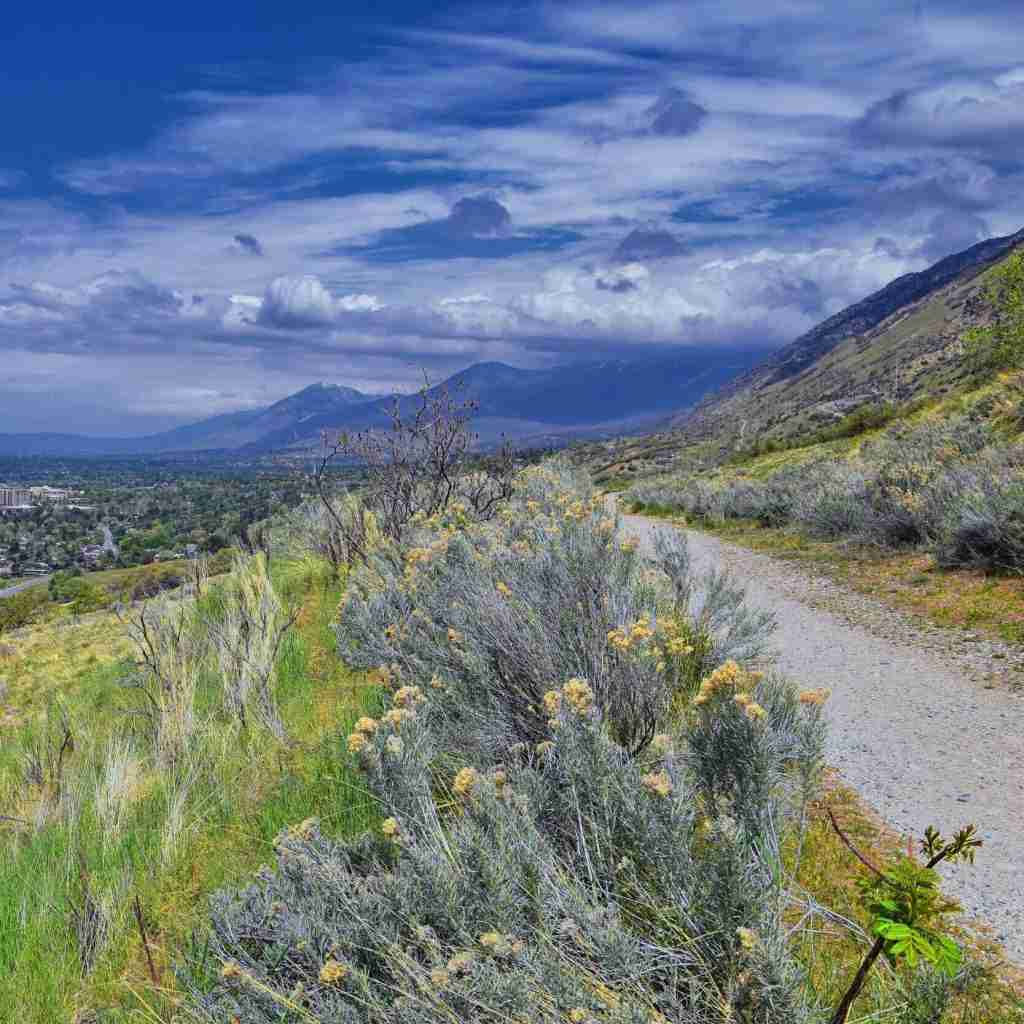 Gravel trail in foothills above Salt Lake City, Utah