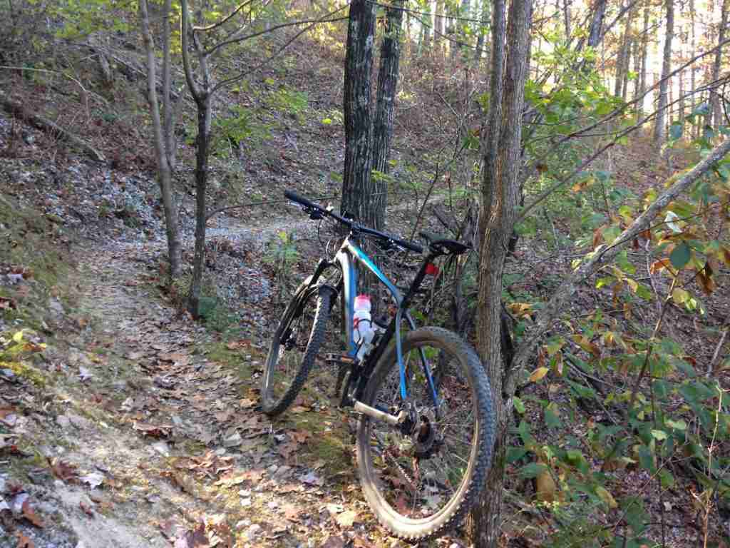 Mountain bike resting against tree on Womble Trail in Arkansas