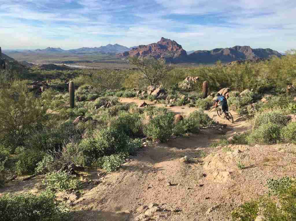 Mountain Biking Hawes Phoenix Arizona Andy3