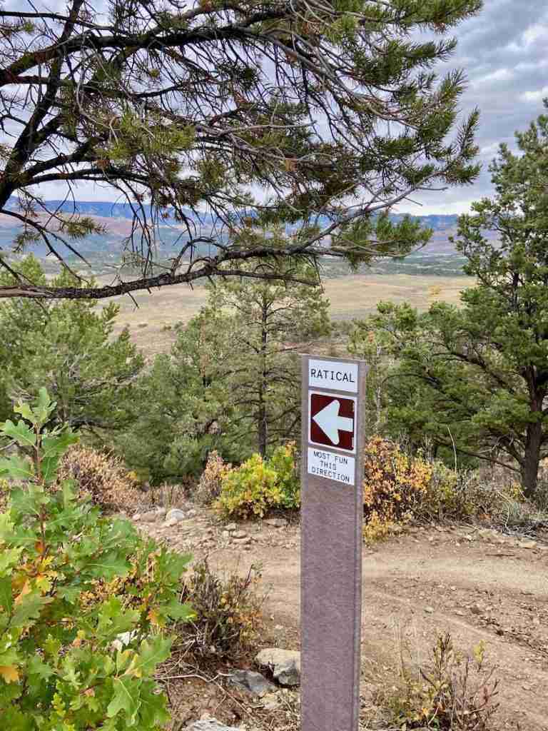 Learn everything you need to know about mountain biking the RAT Trails in Ridgway, CO including best trail link-ups, trail tips, and more!