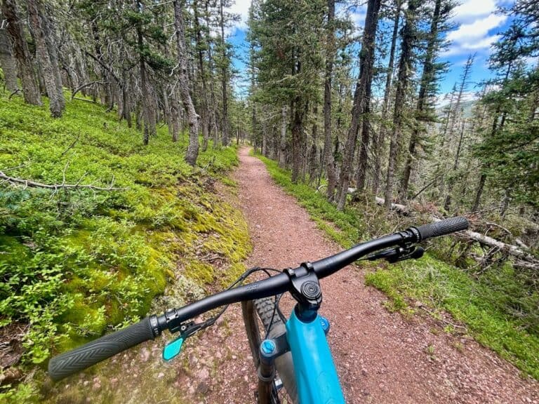 POV out over front of mountain bike handlebars onto forested trail