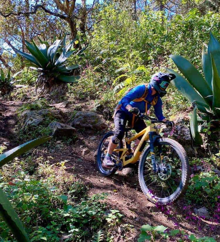 Learn everything you need to know about mountain biking in Oaxaca, Mexico with Oaxaca Bike Expeditions including what to expect and more!