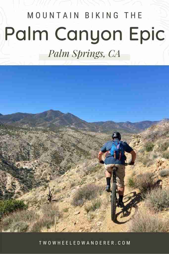 Learn everything you need to know about mountain biking the Palm Canyon Epic trail in Palm Springs, CA including where to start & more!