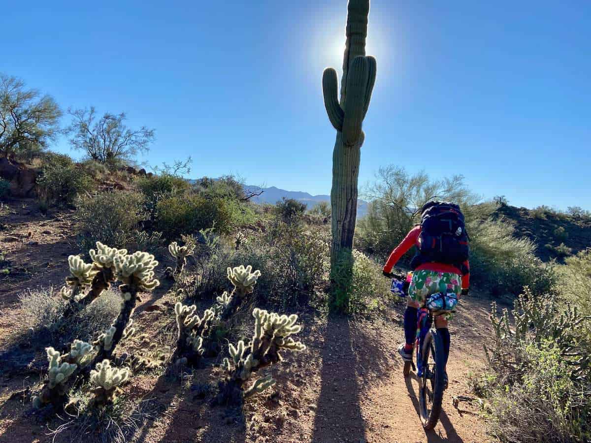 Female mountain biker on singletrack trail with tall saguaro cactus blocking sun in front