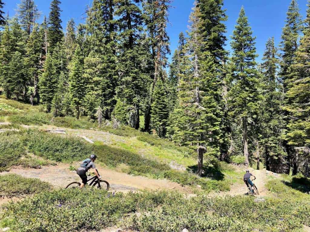 Two mountain bikers riding singletrack trail in Downieville, California