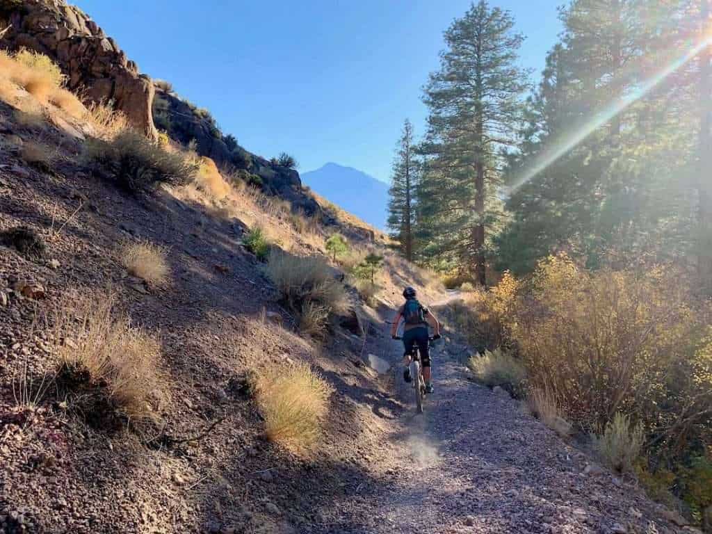 Mountain biker on singletrack trail in California