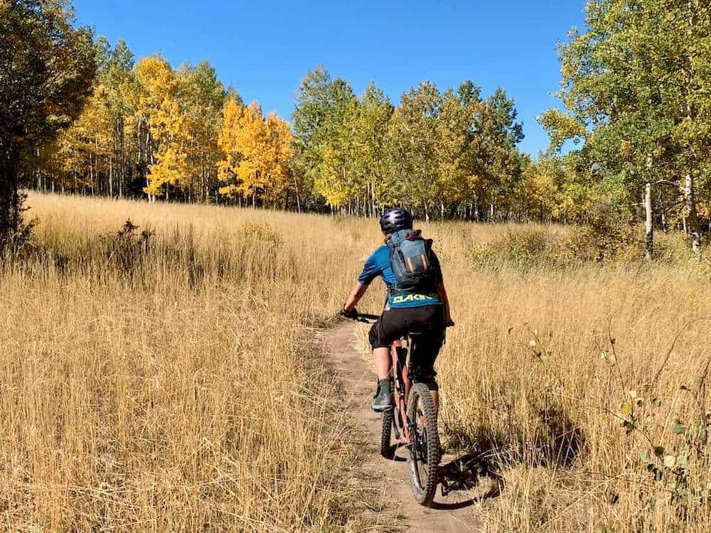 Mountain biker riding bike away from camera on singletrack trail through brown-grass meadow in New Mexico