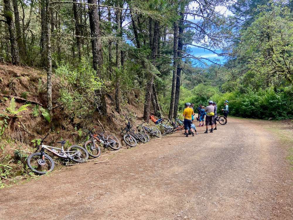 Many mountain bikes lined up on the side of a dirt road out of traffic's way with mountain bikers talking a group