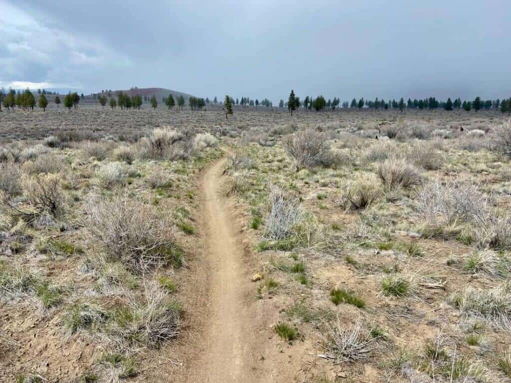 Singletrack mountain bike trail through scrub brush terrain outside of Bend Oregon 