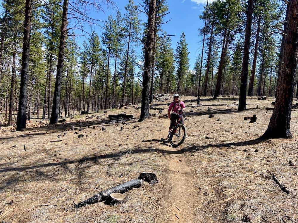 Mountain biker on forested trail in Bend Oregon