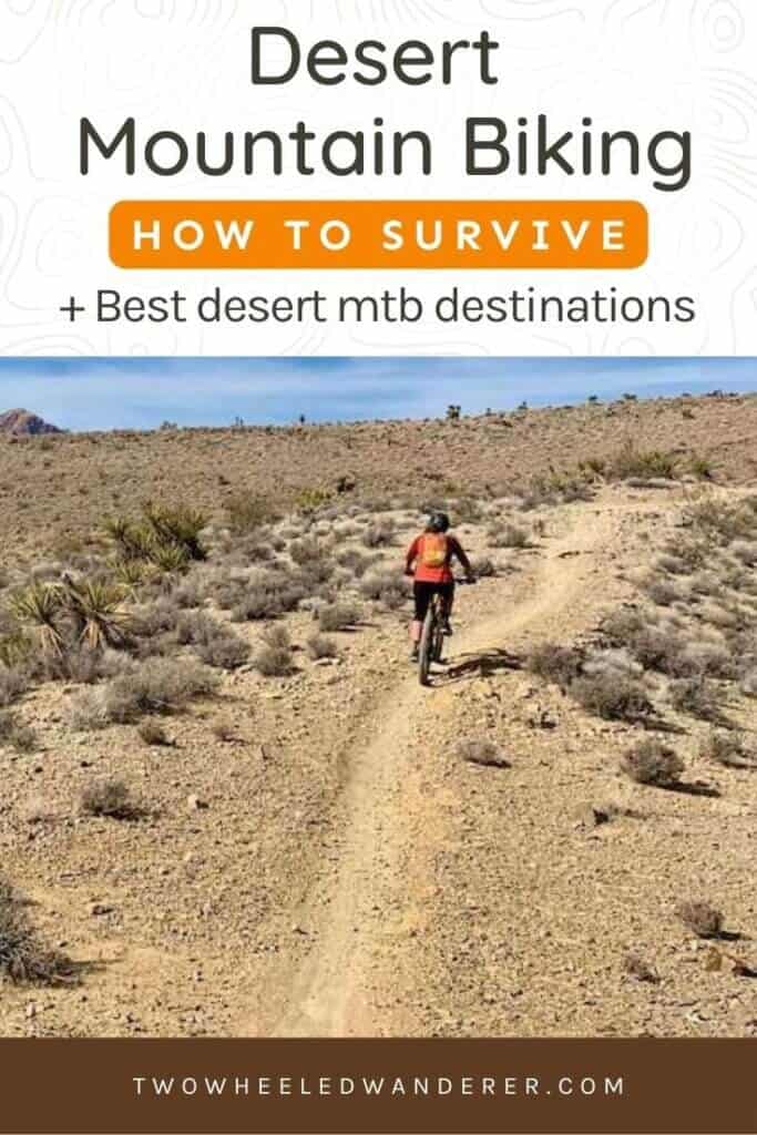 Heading to the southwest for some desert mountain biking? Read my best tips and recommendations for staying safe and having fun