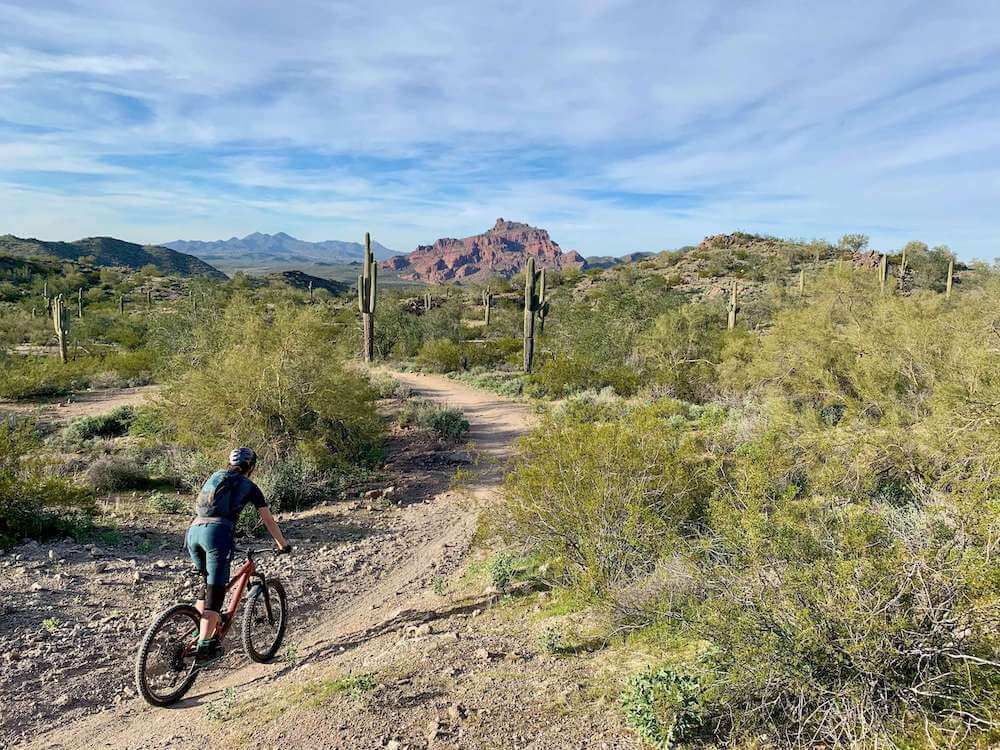 Becky riding down singletrack trail on mountain bike in desert landscape around Phoenix, Arizona