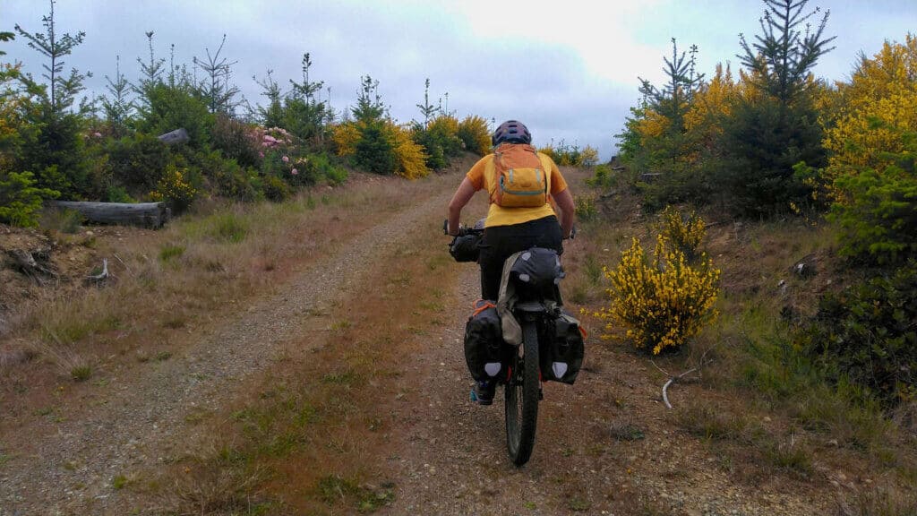 Bikepacking pedal up small hill lined with scrub brush on Cross Washington mountain bike route