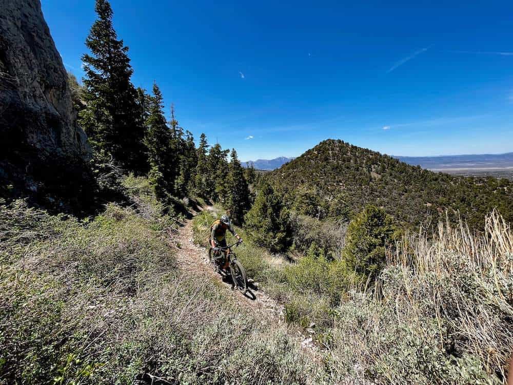 Mountain biker riding bike on high desert, forested singletrack trail in Ely, Nevada