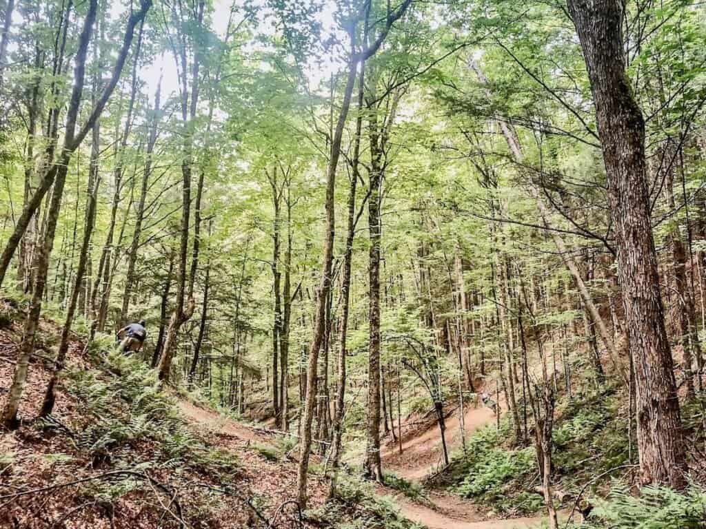 Sidewinder mountain bike trail at Kingdom Trails in Vermont