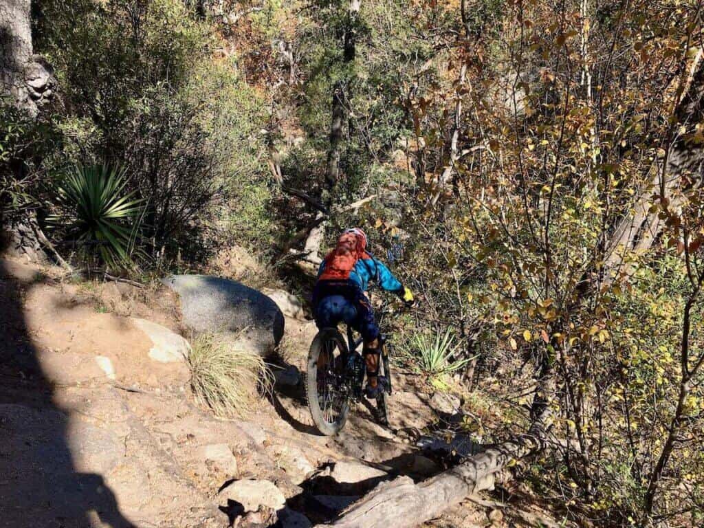 Mountain biker going down very steep section of trail on Mt. Lemmon in Tucson