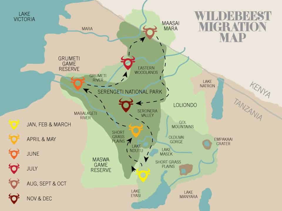 Wildebeest migration map in Tanzania