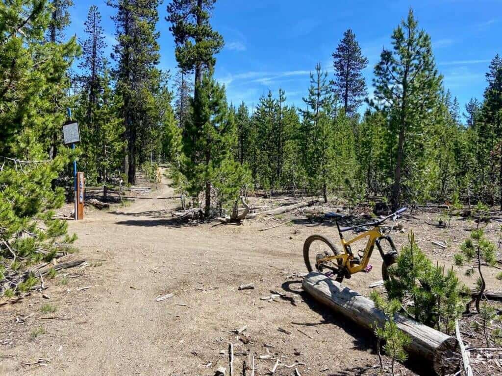 Mountain bike propped up on log at intersection of trail in Bend, Oregon