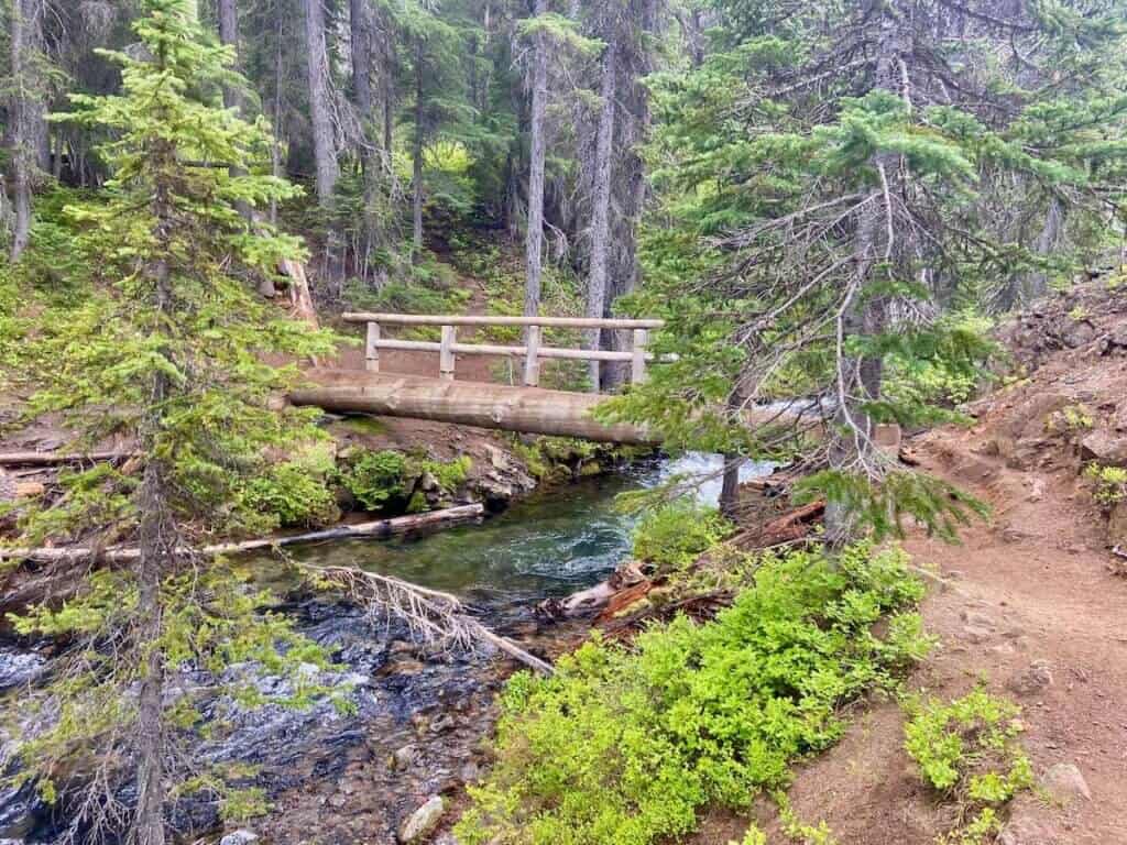 Log bridge with wood railing crossing backcountry river near Bend Oregon
