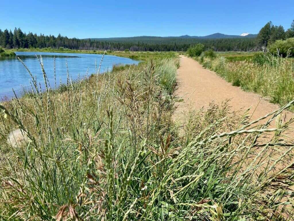 Deschutes River Trail passing through beautiful meadow with river to the left